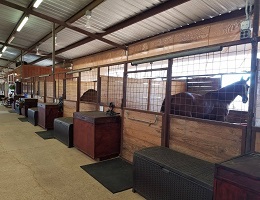 Double B Equestrian Center Wylie Tx Horse Boarding